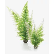 biOrb téli páfrány szett 2 darabos