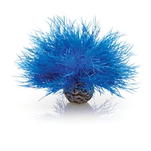 biOrb tengeri liliom kék