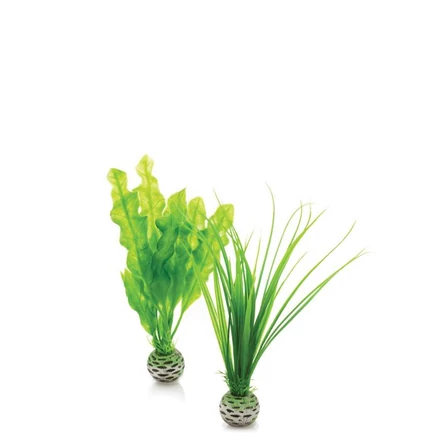 biOrb easy plant szett kicsi zöld