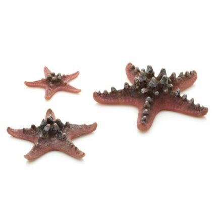 biOrb szarvas tengeri csillag szett 3 darabos rózsaszín